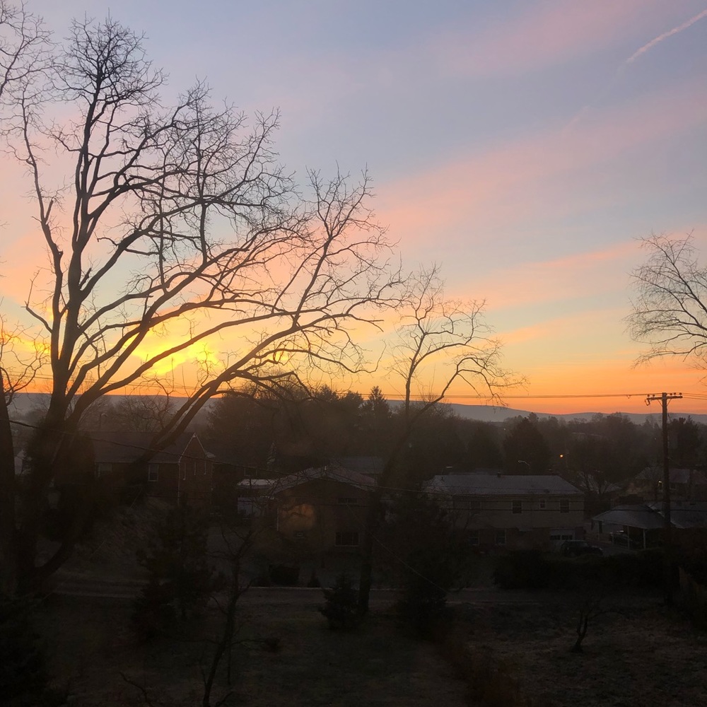 Meet your Posher, Lily